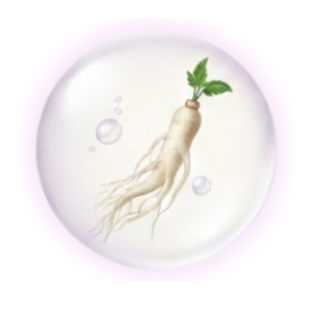 13_e0f8eae5-e628-4e8c-a0bb-c8ae8311fbf5.png