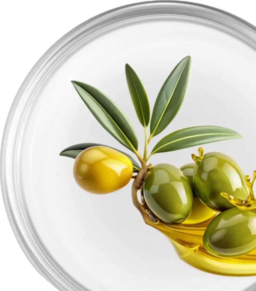 1743771859-Olive_Oil_compressed.webp