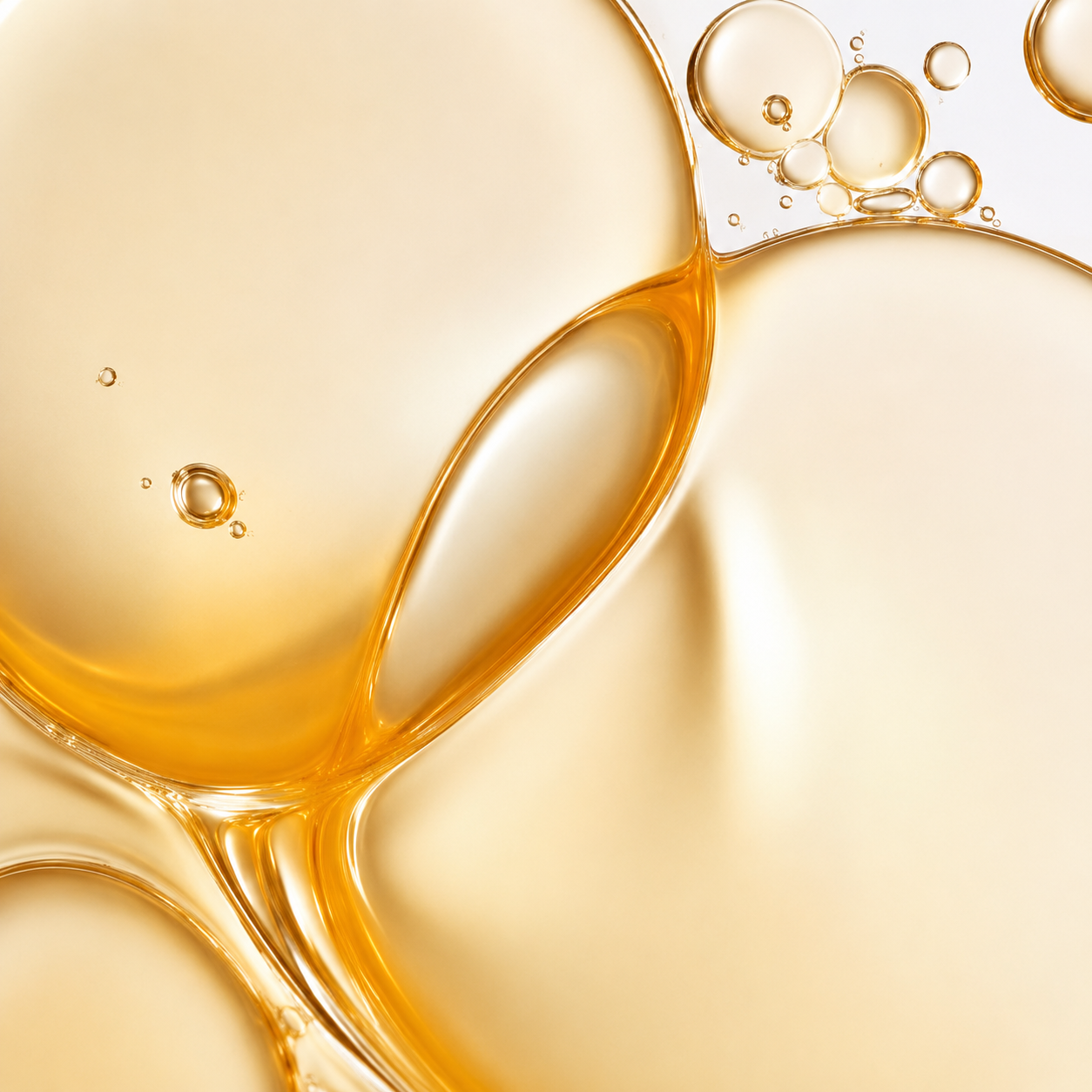 2_a9dd22ae-d6a1-43d8-b5b7-5ac1269ace82.png