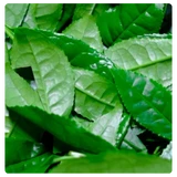 9745161a159eeac679.webp