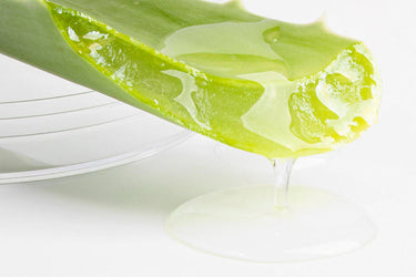 Aloe_Vera_Extract_700x700_34a883bf-54d9-4f91-a92e-1ffad1f7d2a6.jpg