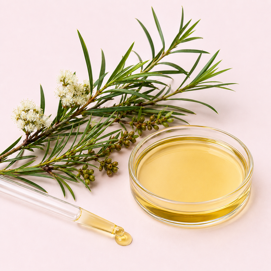 ChatGPT_Image_May_10_2026_02_00_19_AM_2.png
