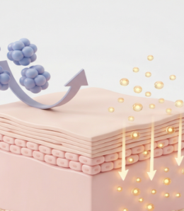 Untitled_design_1_400x400_cea23e54-ae8c-4597-8b89-0a94af73f7e5.png
