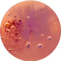 ing-3_200x200_crop_center_c899b6b9-2c4b-41f3-9394-9d2422dccbf1.png